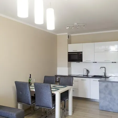 Apartment Bodnar Polanki